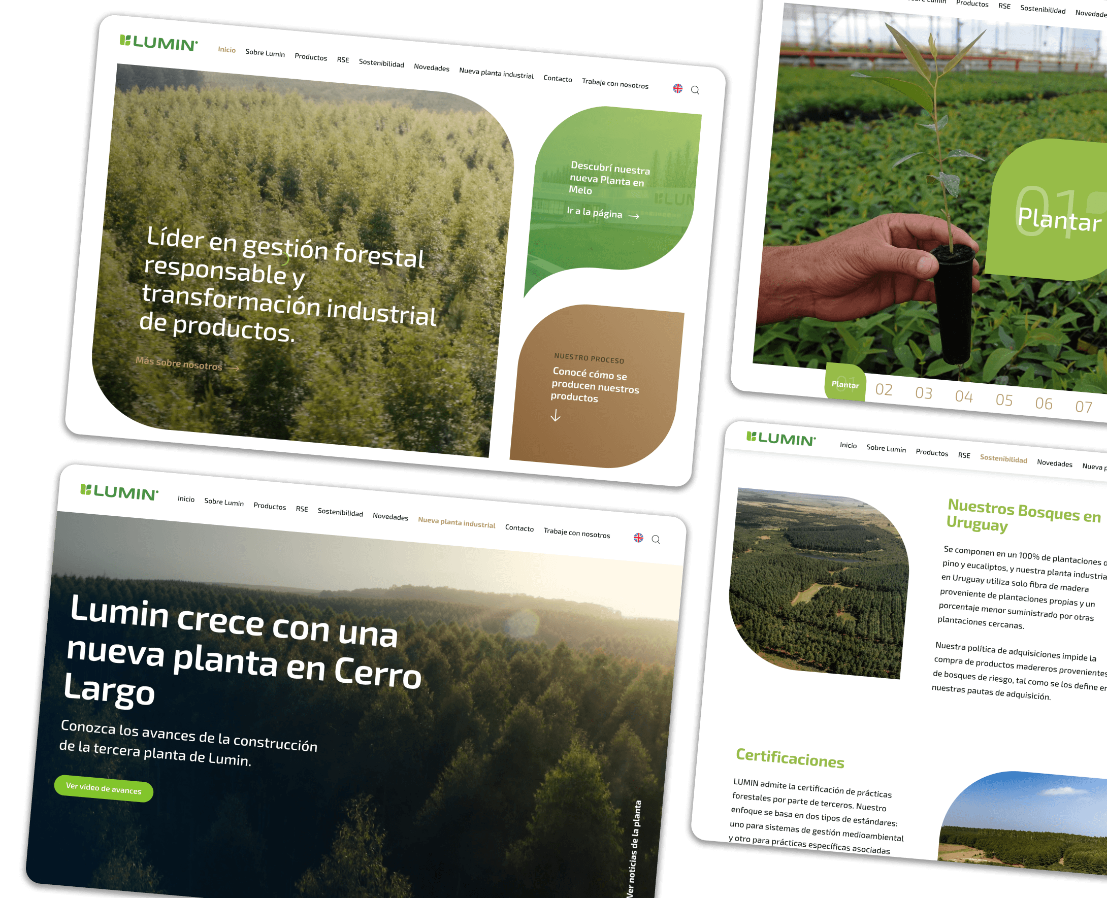 Capturas del sitio web de Lumin mostrando nuestras habilidades de desarrollo web