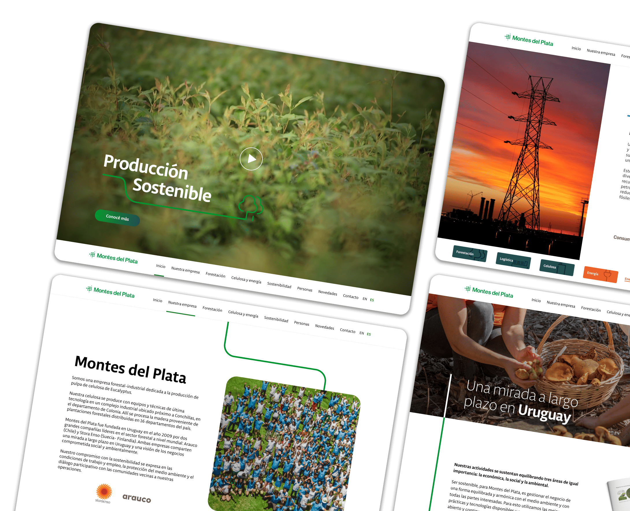 Capturas del sitio web de Montes del Plata mostrando nuestras habilidades de desarrollo web